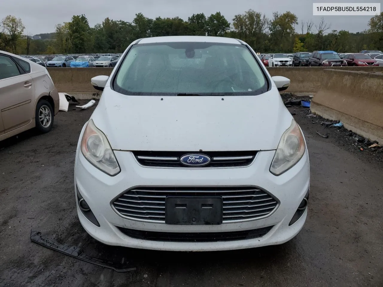 2013 Ford C-Max Sel VIN: 1FADP5BU5DL554218 Lot: 72876674