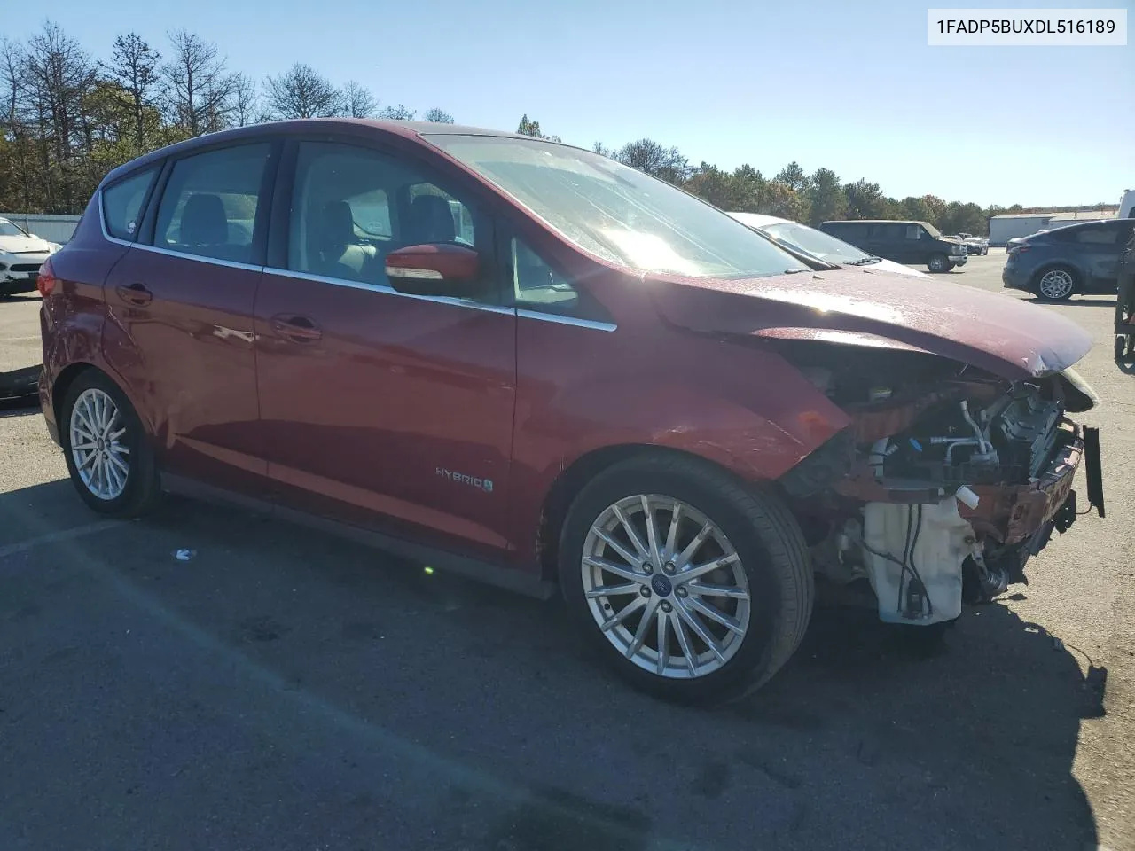 2013 Ford C-Max Sel VIN: 1FADP5BUXDL516189 Lot: 76944714