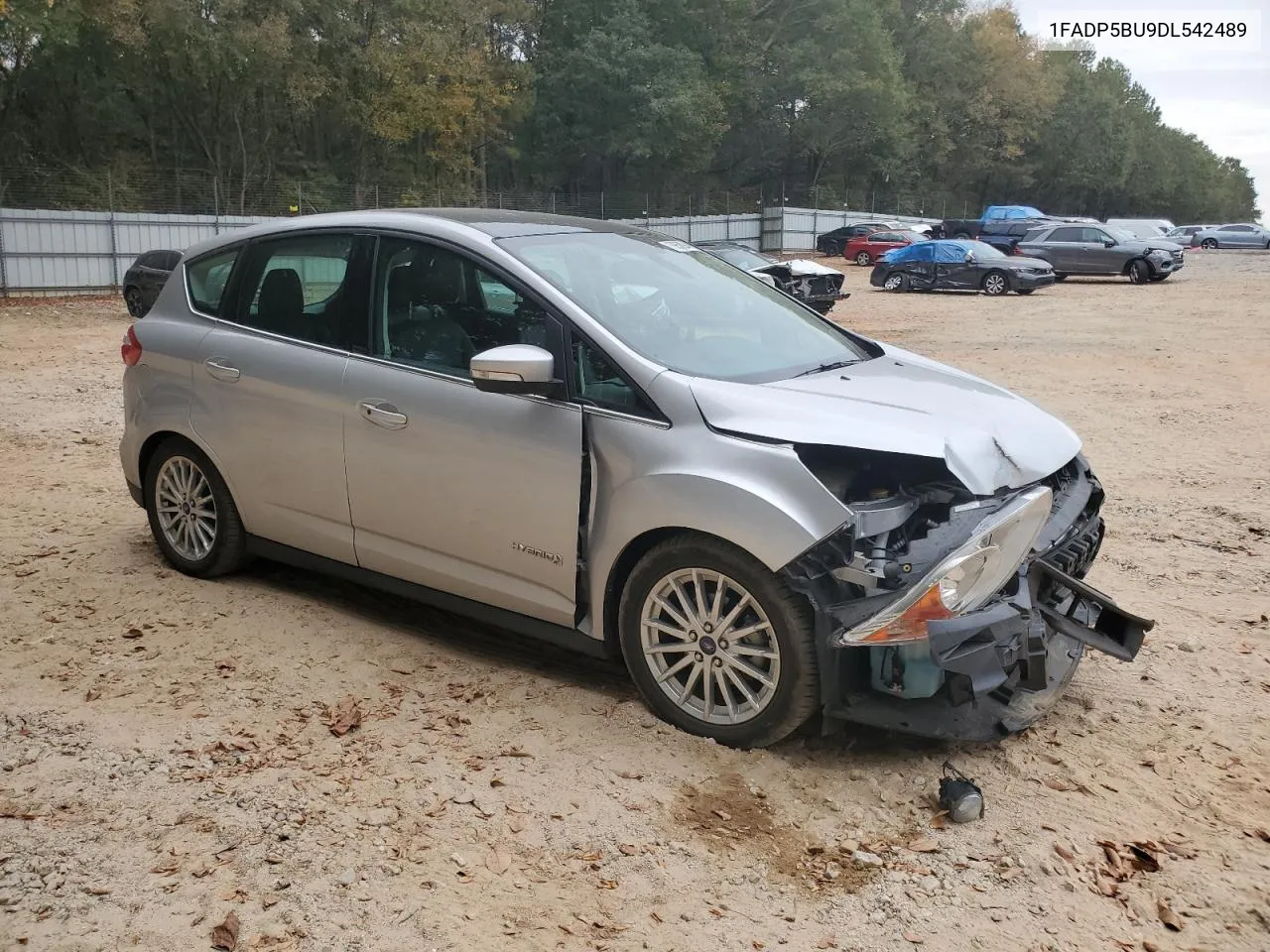 2013 Ford C-Max Sel VIN: 1FADP5BU9DL542489 Lot: 78958094