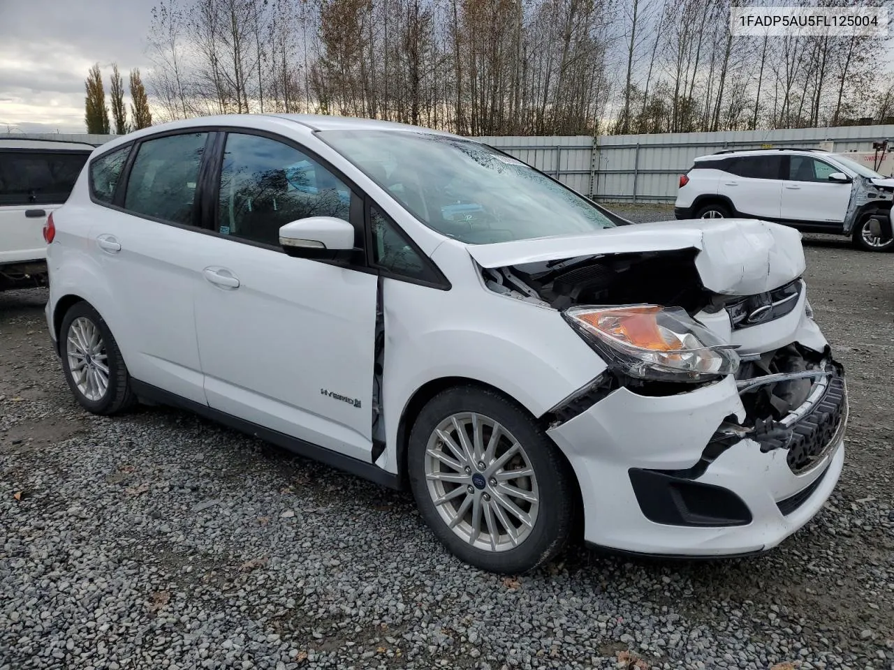 2015 Ford C-Max Se VIN: 1FADP5AU5FL125004 Lot: 78895664