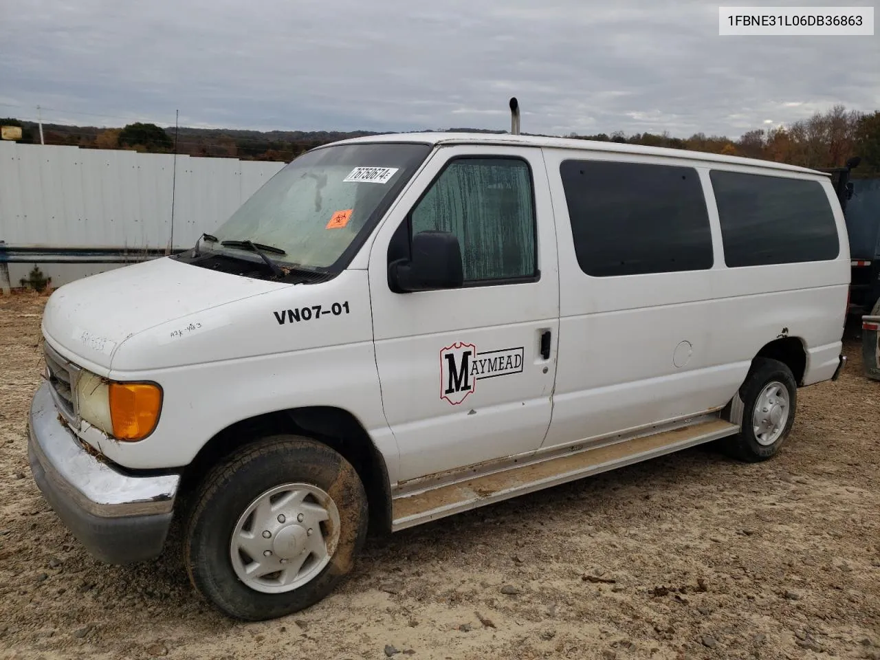 2006 Ford Econoline E350 Super Duty Wagon VIN: 1FBNE31L06DB36863 Lot: 76750674