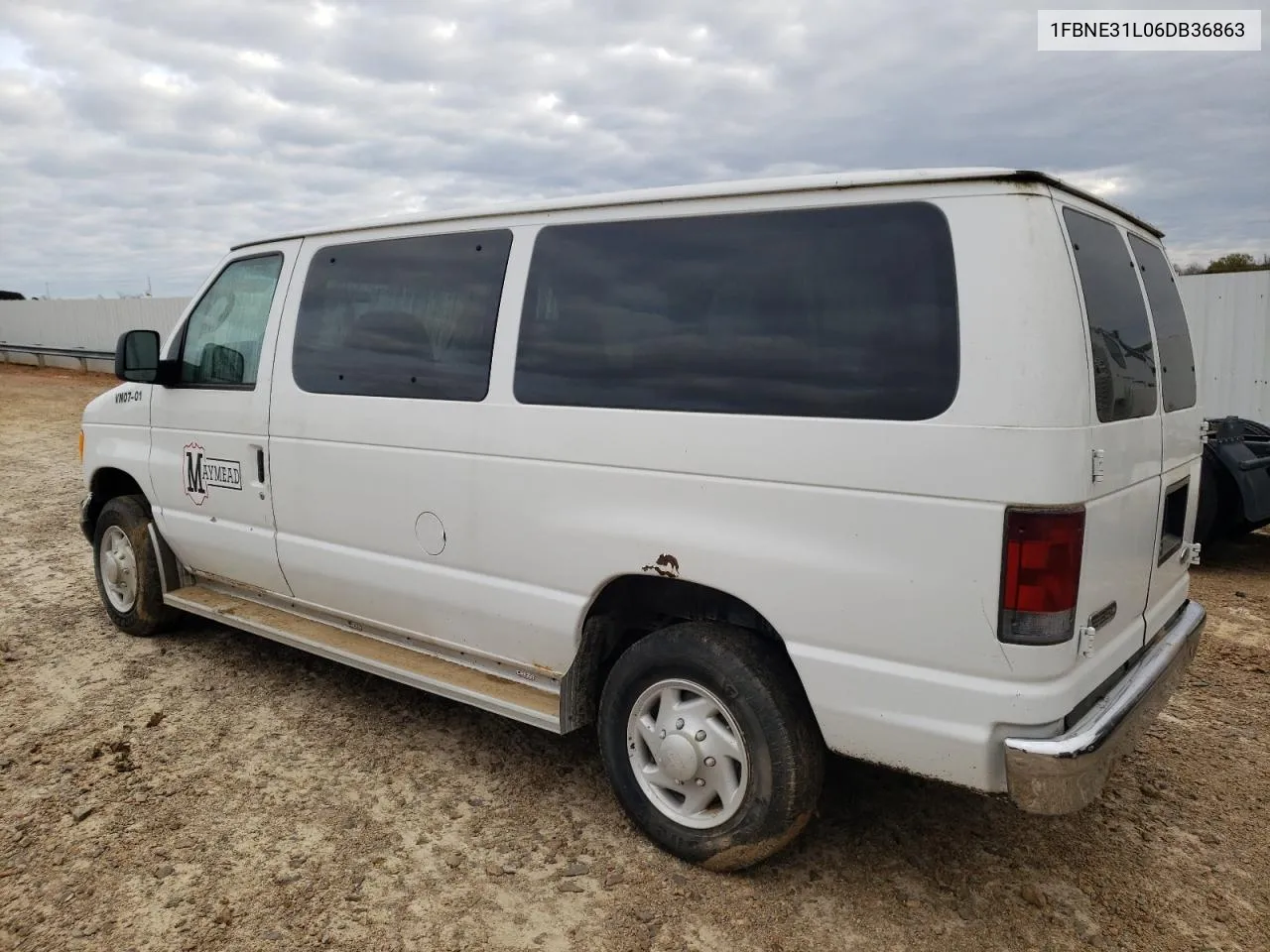 2006 Ford Econoline E350 Super Duty Wagon VIN: 1FBNE31L06DB36863 Lot: 76750674