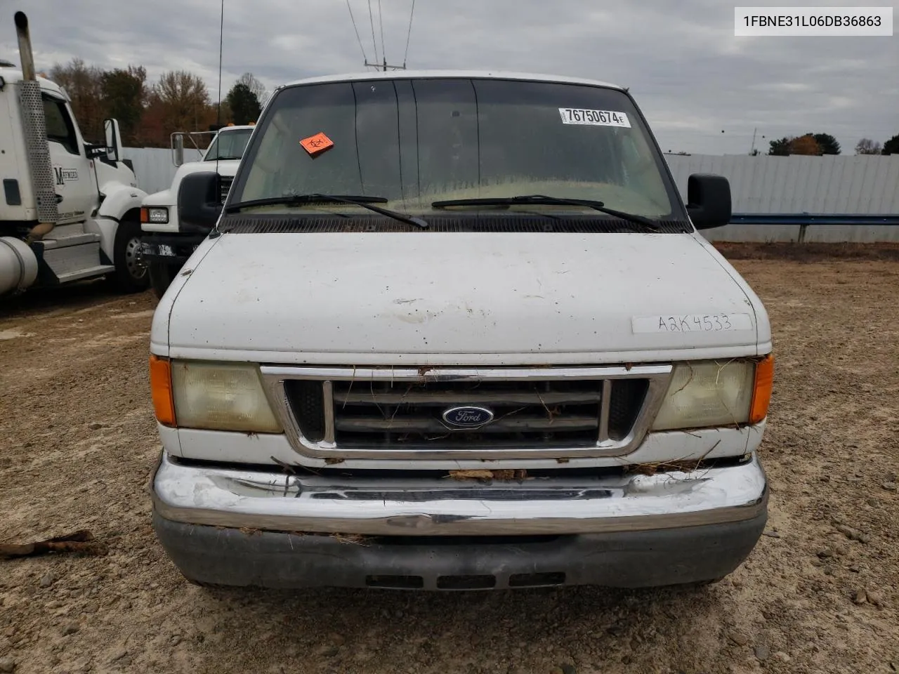 2006 Ford Econoline E350 Super Duty Wagon VIN: 1FBNE31L06DB36863 Lot: 76750674