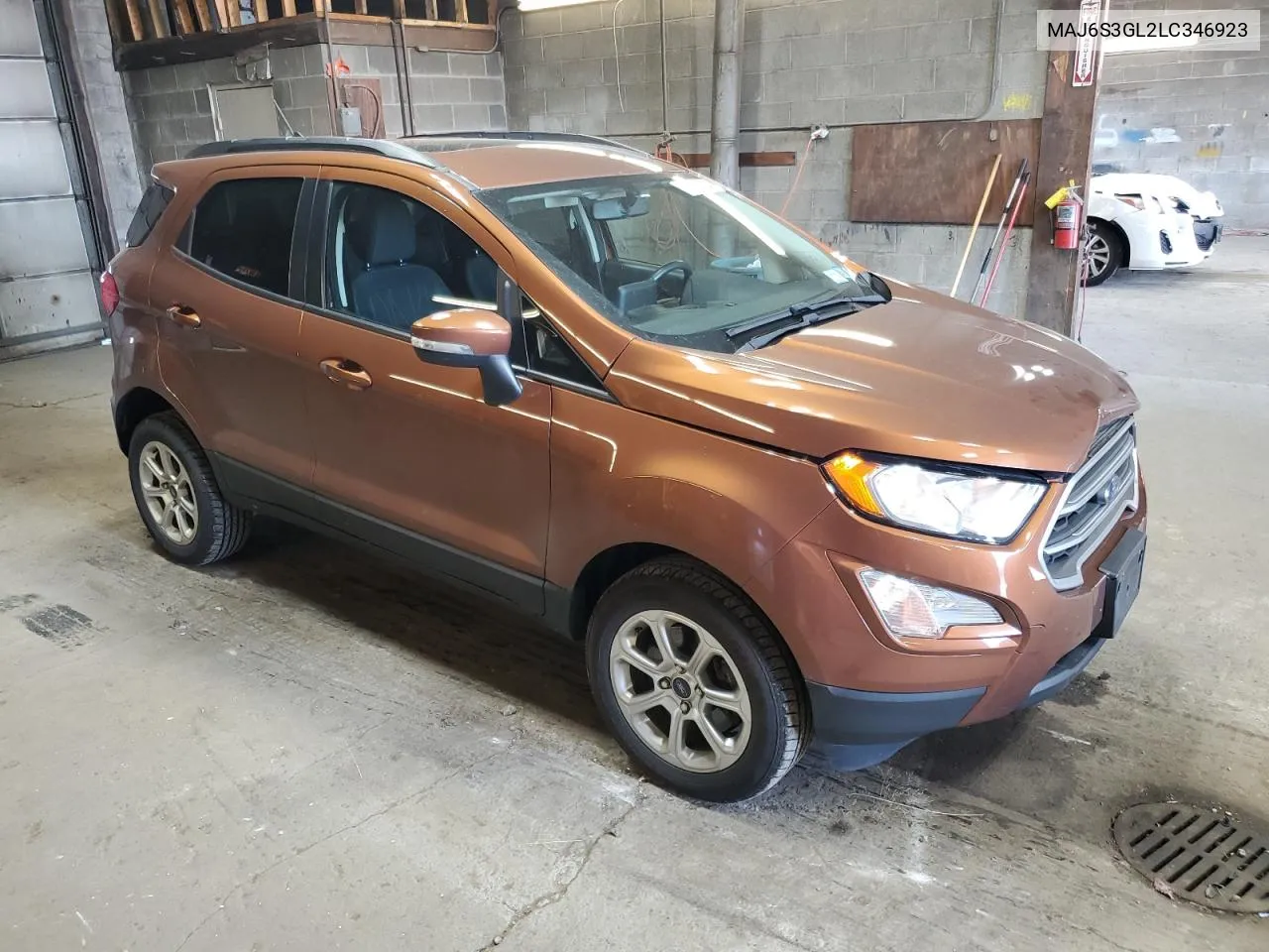 2020 Ford Ecosport Se VIN: MAJ6S3GL2LC346923 Lot: 77209354