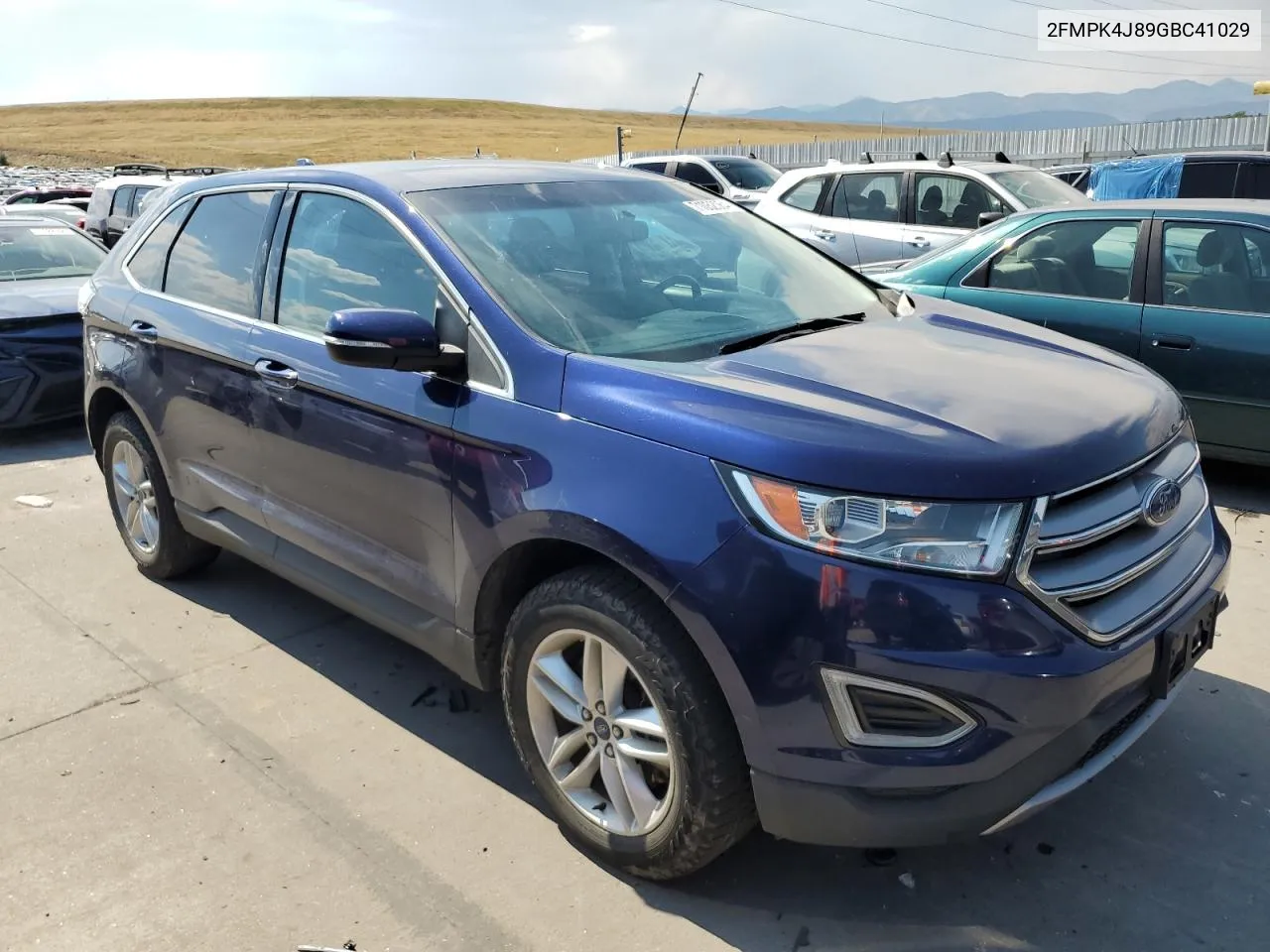 2016 Ford Edge Sel VIN: 2FMPK4J89GBC41029 Lot: 71052064