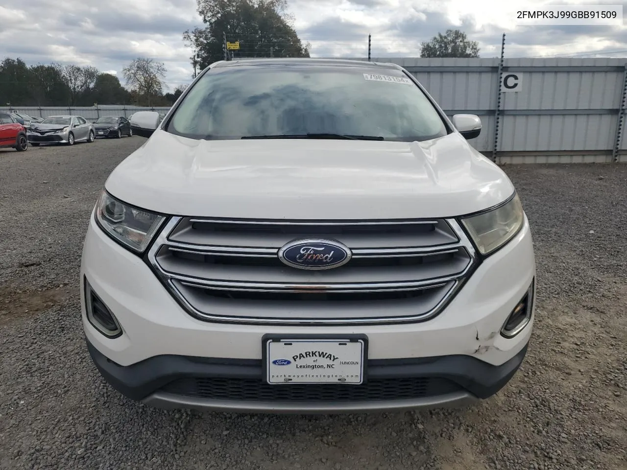 2016 Ford Edge Sel VIN: 2FMPK3J99GBB91509 Lot: 79813154