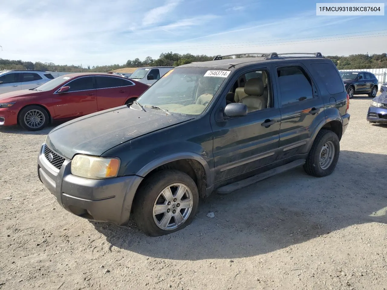 2003 Ford Escape Xlt VIN: 1FMCU93183KC87604 Lot: 75463714