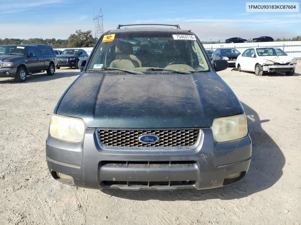 2003 Ford Escape Xlt VIN: 1FMCU93183KC87604 Lot: 75463714