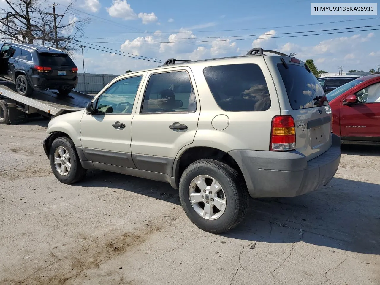 2005 Ford Escape Xlt VIN: 1FMYU93135KA96939 Lot: 67036104