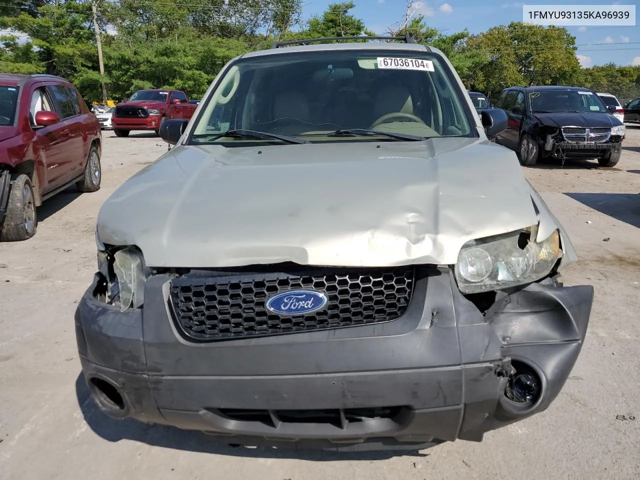 2005 Ford Escape Xlt VIN: 1FMYU93135KA96939 Lot: 67036104