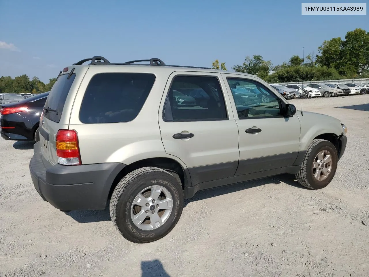 2005 Ford Escape Xlt VIN: 1FMYU03115KA43989 Lot: 69295484