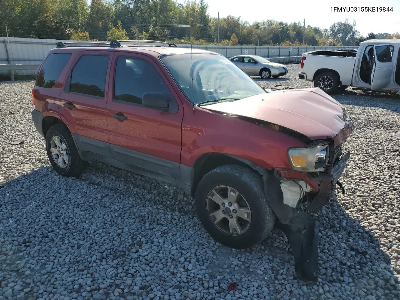 2005 Ford Escape Xlt VIN: 1FMYU03155KB19844 Lot: 77883544