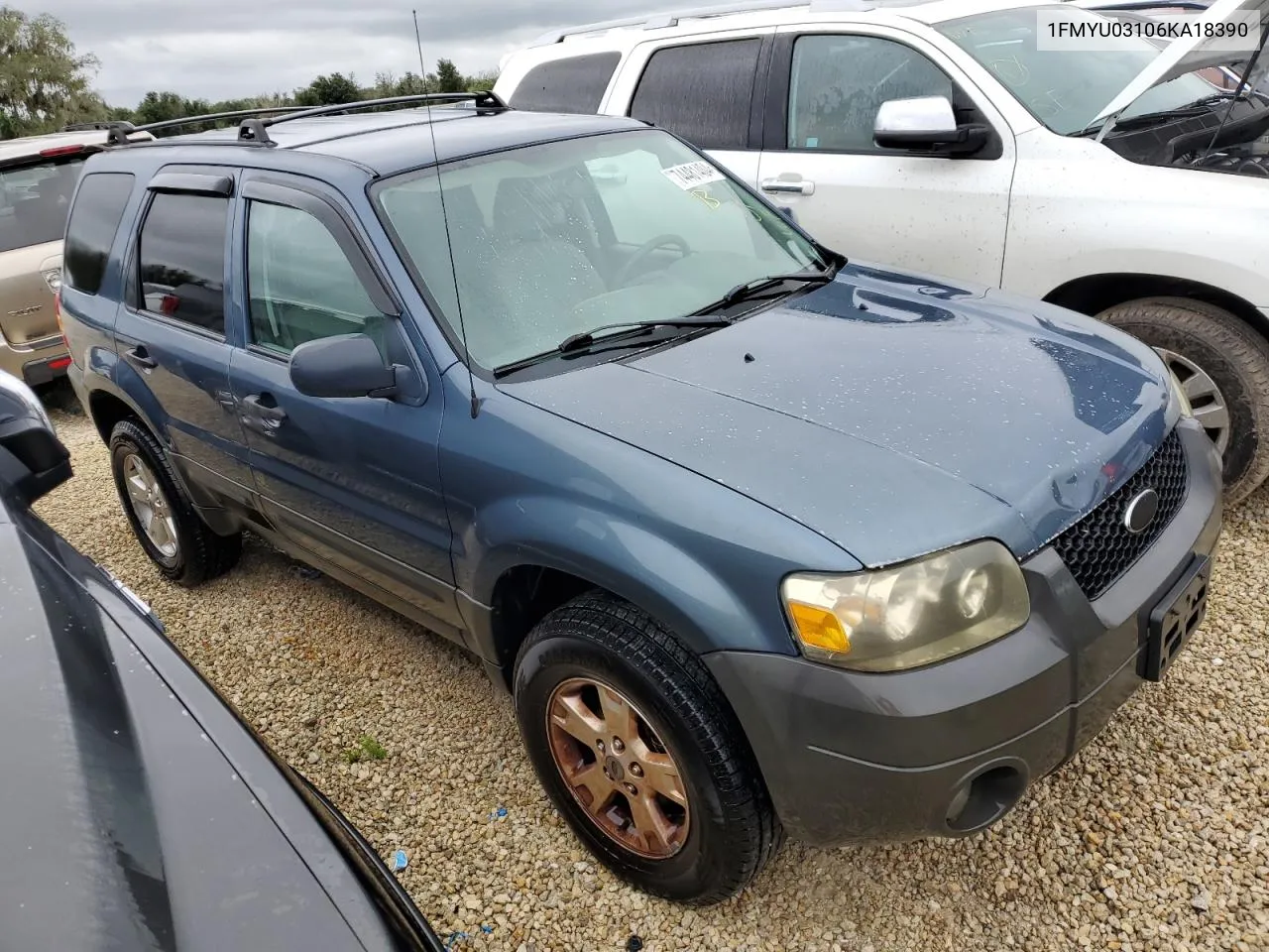 2006 Ford Escape Xlt VIN: 1FMYU03106KA18390 Lot: 74481404