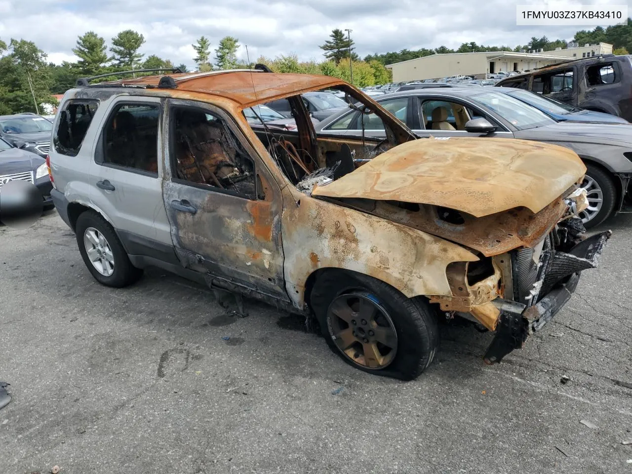 2007 Ford Escape Xlt VIN: 1FMYU03Z37KB43410 Lot: 71992554