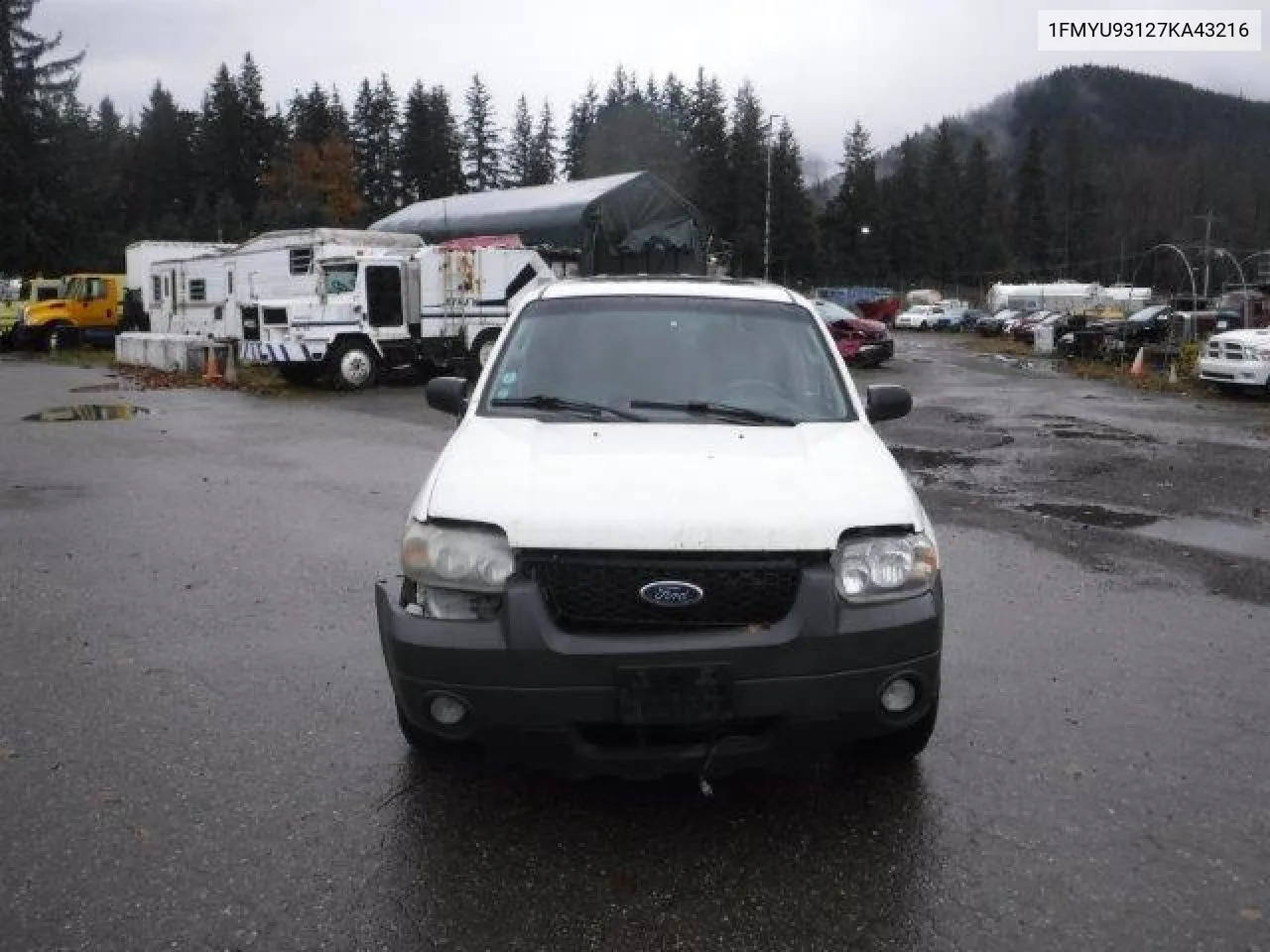 2007 Ford Escape Xlt VIN: 1FMYU93127KA43216 Lot: 76832654