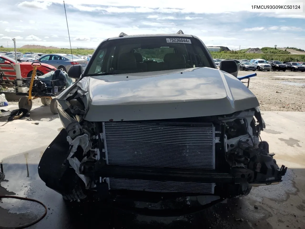 2009 Ford Escape Xlt VIN: 1FMCU93G09KC50124 Lot: 75236044