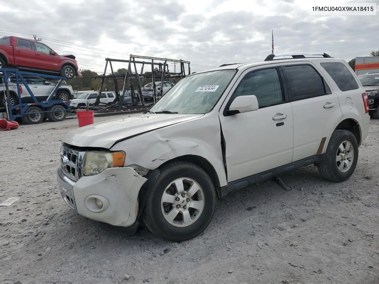 2009 Ford Escape Limited VIN: 1FMCU04GX9KA18415 Lot: 78212434