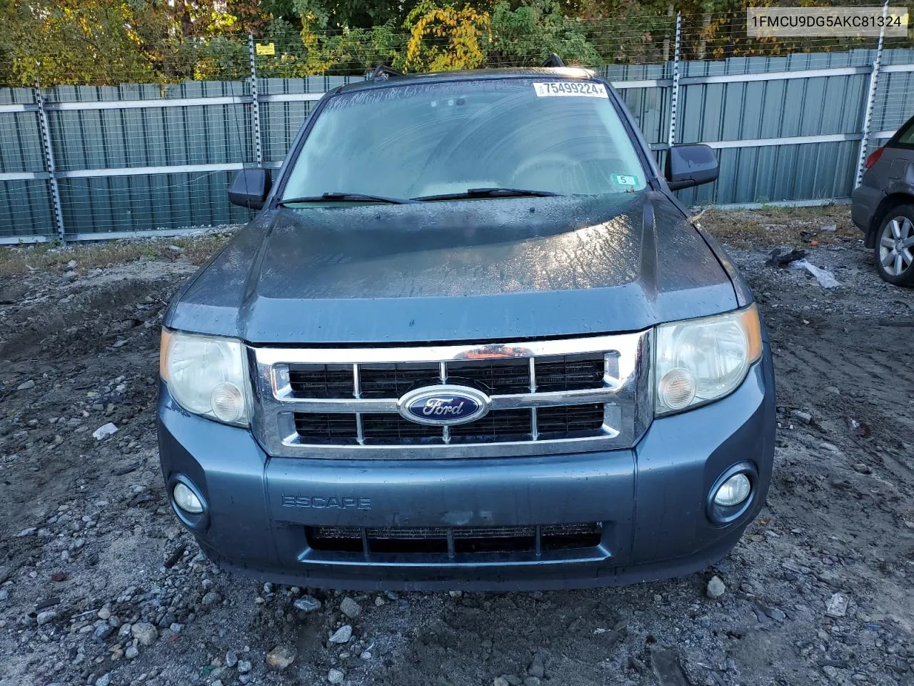 2010 Ford Escape Xlt VIN: 1FMCU9DG5AKC81324 Lot: 75499224