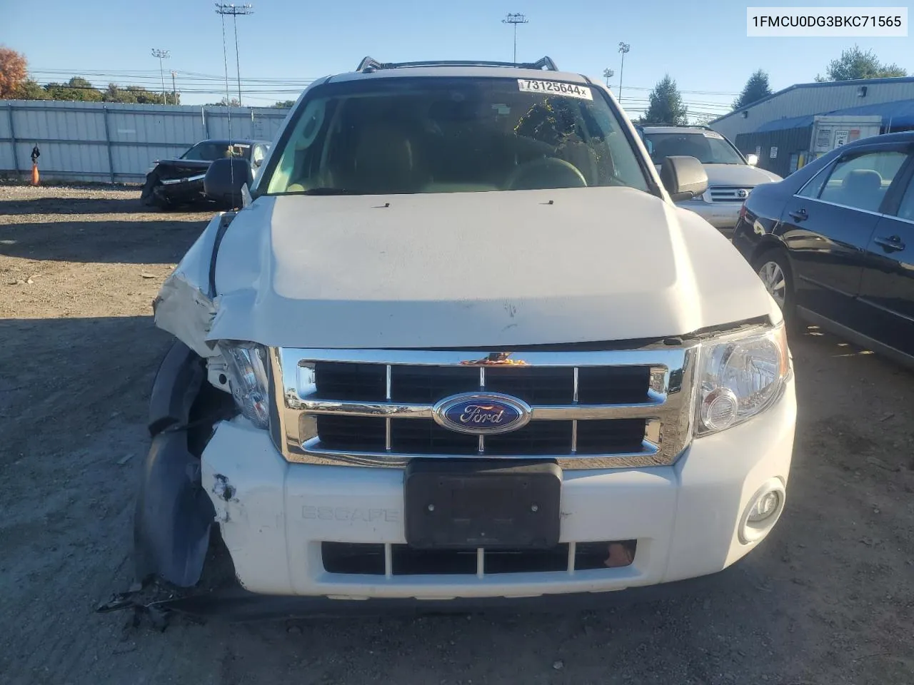 2011 Ford Escape Xlt VIN: 1FMCU0DG3BKC71565 Lot: 73125644