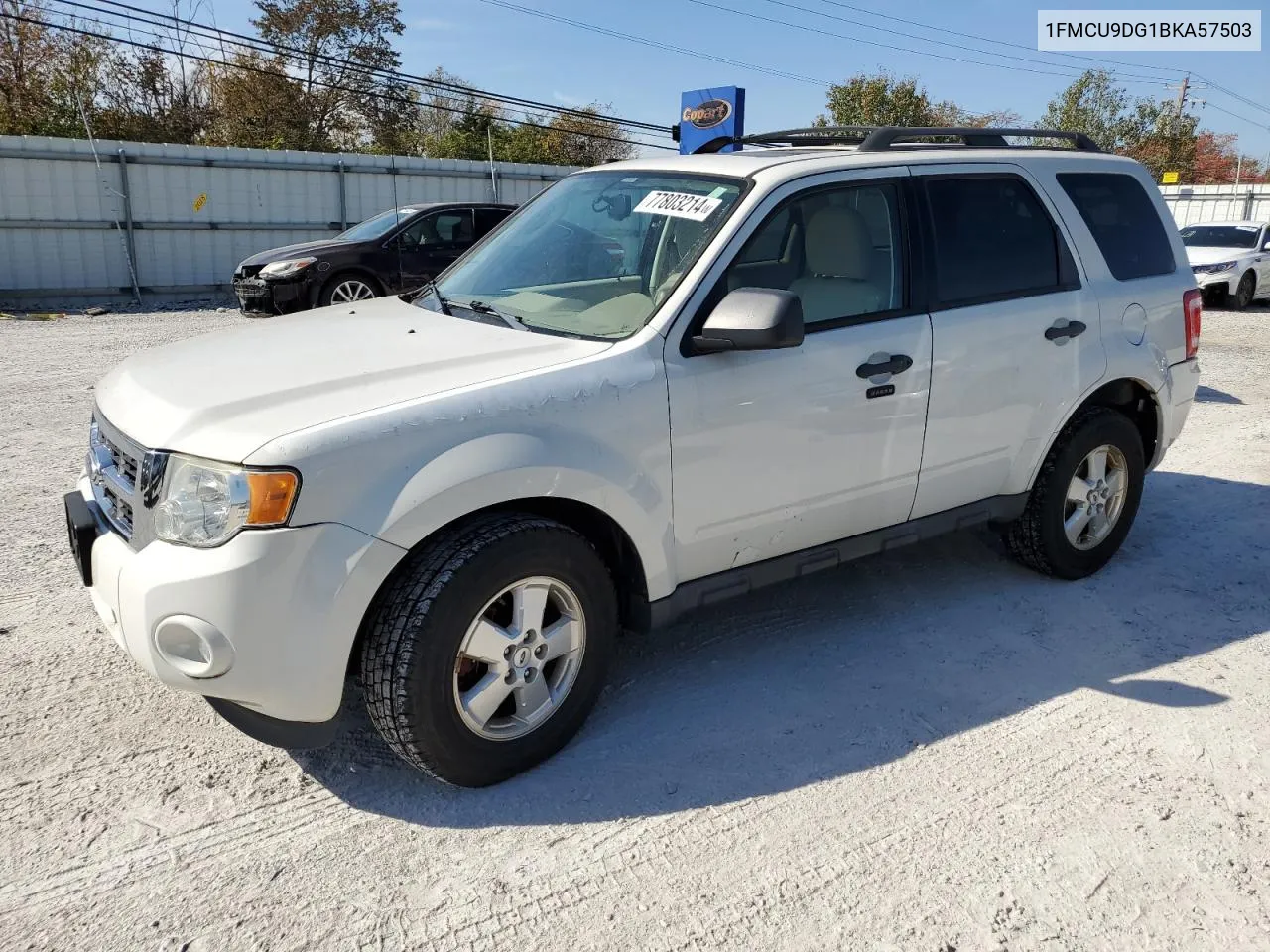 2011 Ford Escape Xlt VIN: 1FMCU9DG1BKA57503 Lot: 77803214