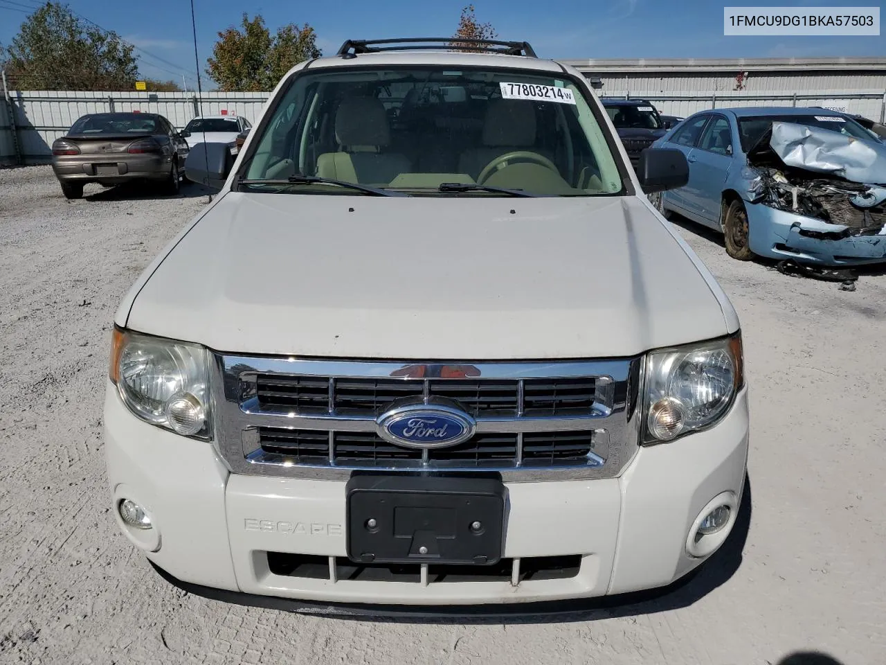 2011 Ford Escape Xlt VIN: 1FMCU9DG1BKA57503 Lot: 77803214