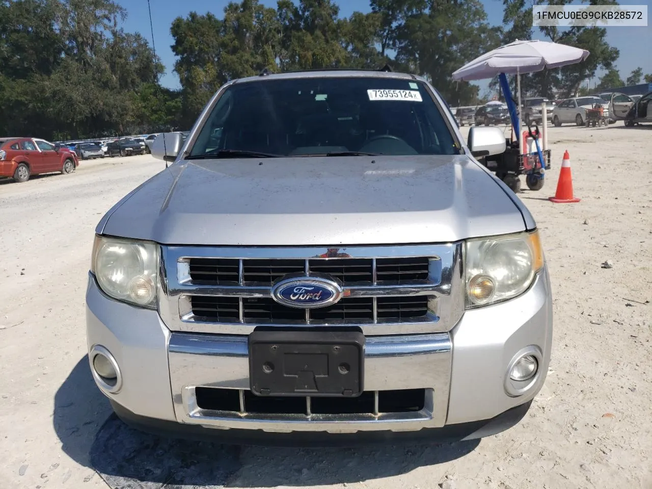 2012 Ford Escape Limited VIN: 1FMCU0EG9CKB28572 Lot: 73955124