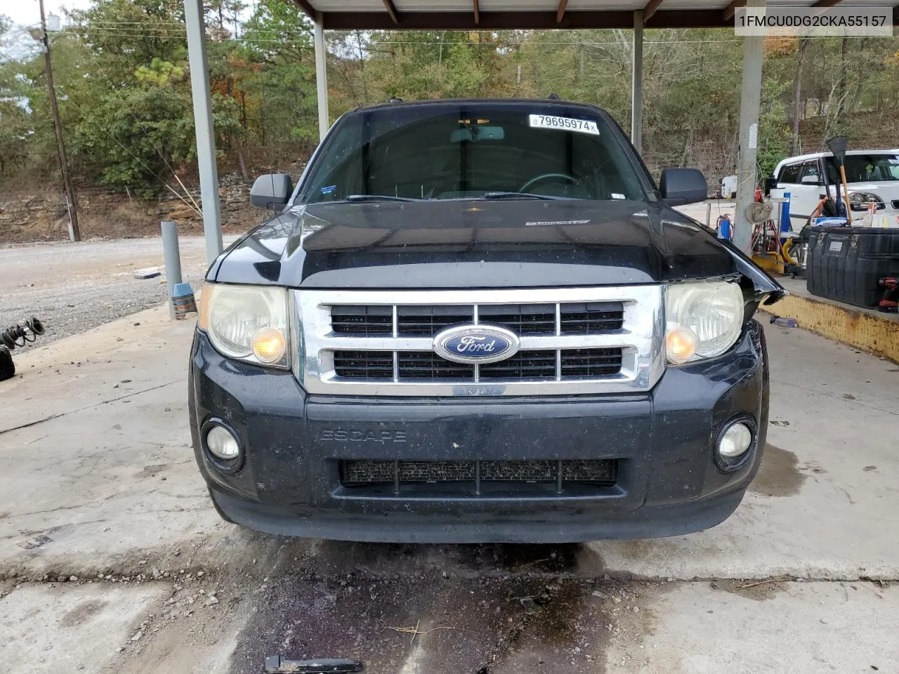 2012 Ford Escape Xlt VIN: 1FMCU0DG2CKA55157 Lot: 79695974