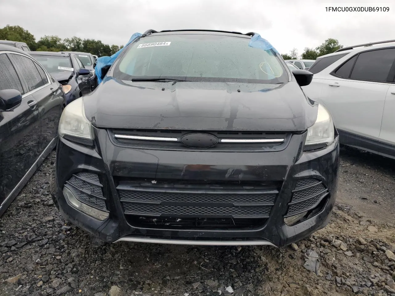 2013 Ford Escape Se VIN: 1FMCU0GX0DUB69109 Lot: 66890464