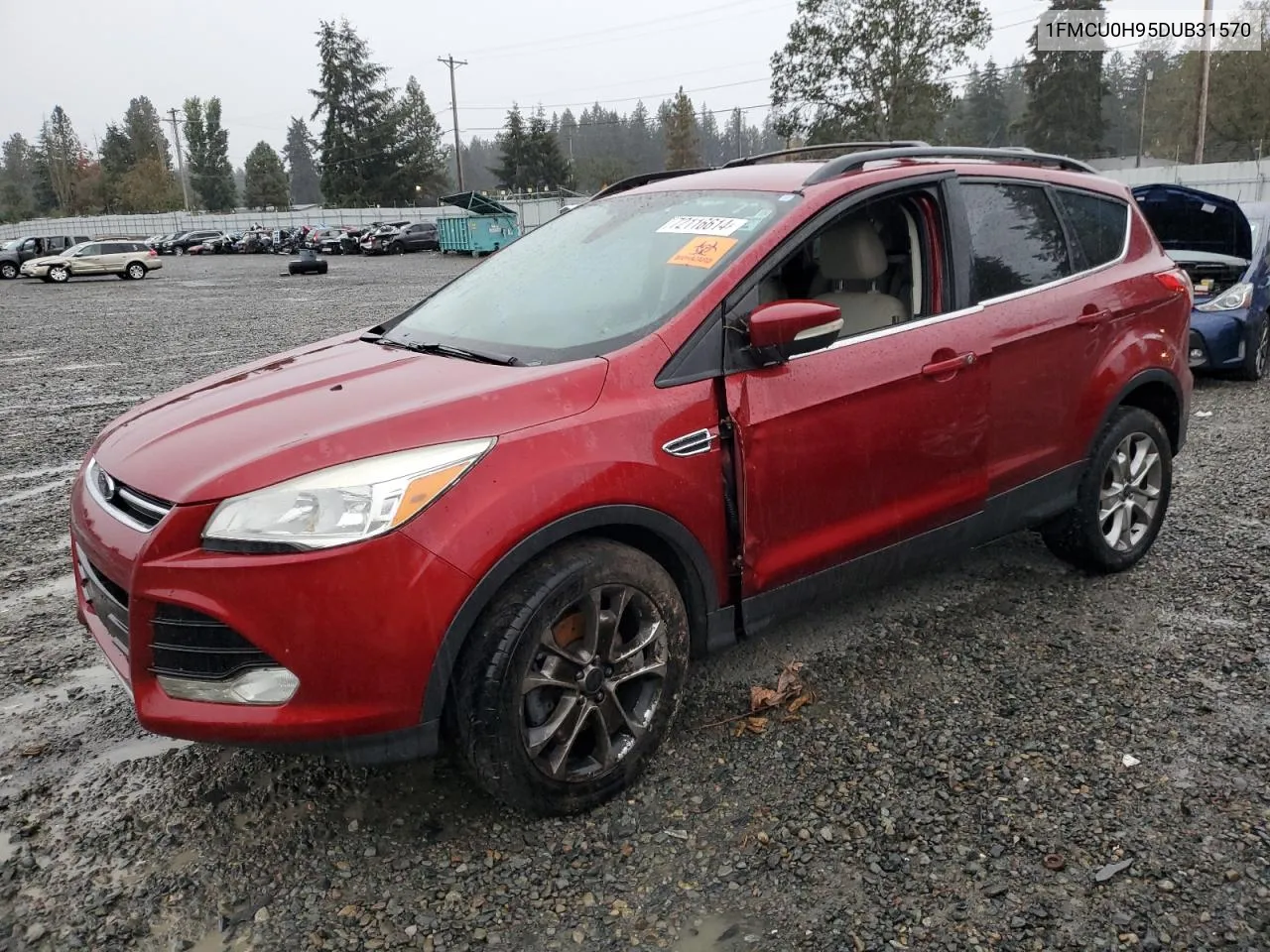 2013 Ford Escape Sel VIN: 1FMCU0H95DUB31570 Lot: 72116614