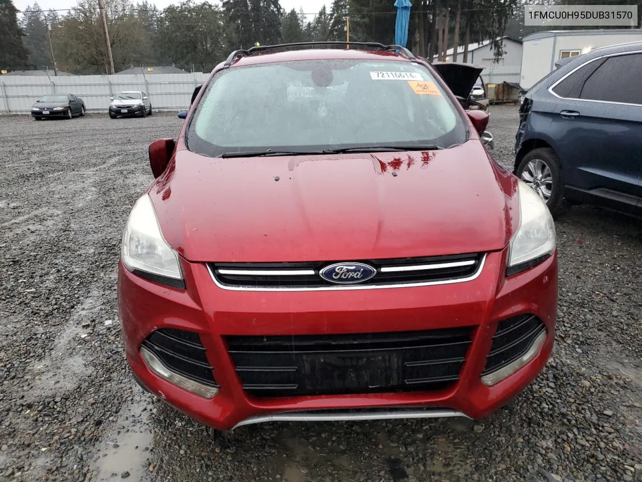 2013 Ford Escape Sel VIN: 1FMCU0H95DUB31570 Lot: 72116614