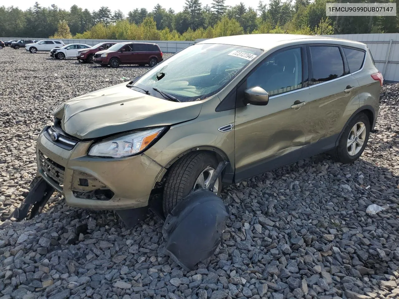 2013 Ford Escape Se VIN: 1FMCU9G99DUB07147 Lot: 72312394