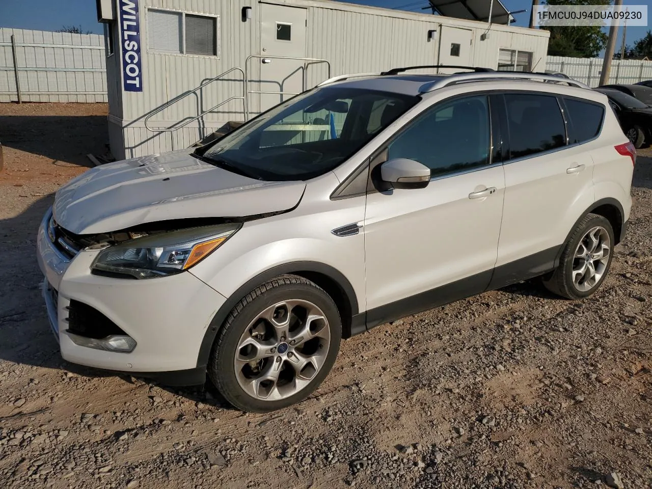 2013 Ford Escape Titanium VIN: 1FMCU0J94DUA09230 Lot: 73675574