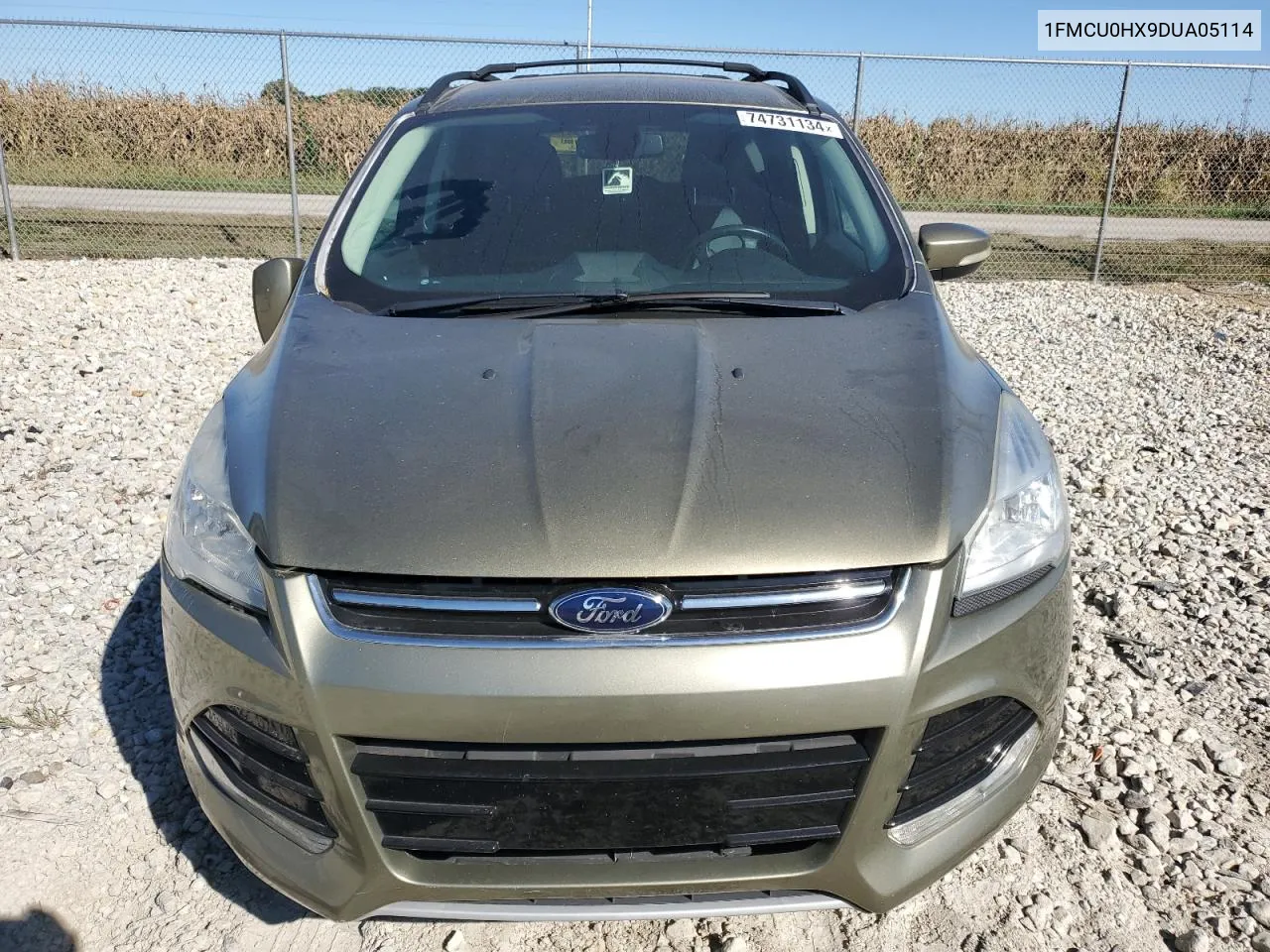 2013 Ford Escape Sel VIN: 1FMCU0HX9DUA05114 Lot: 74731134