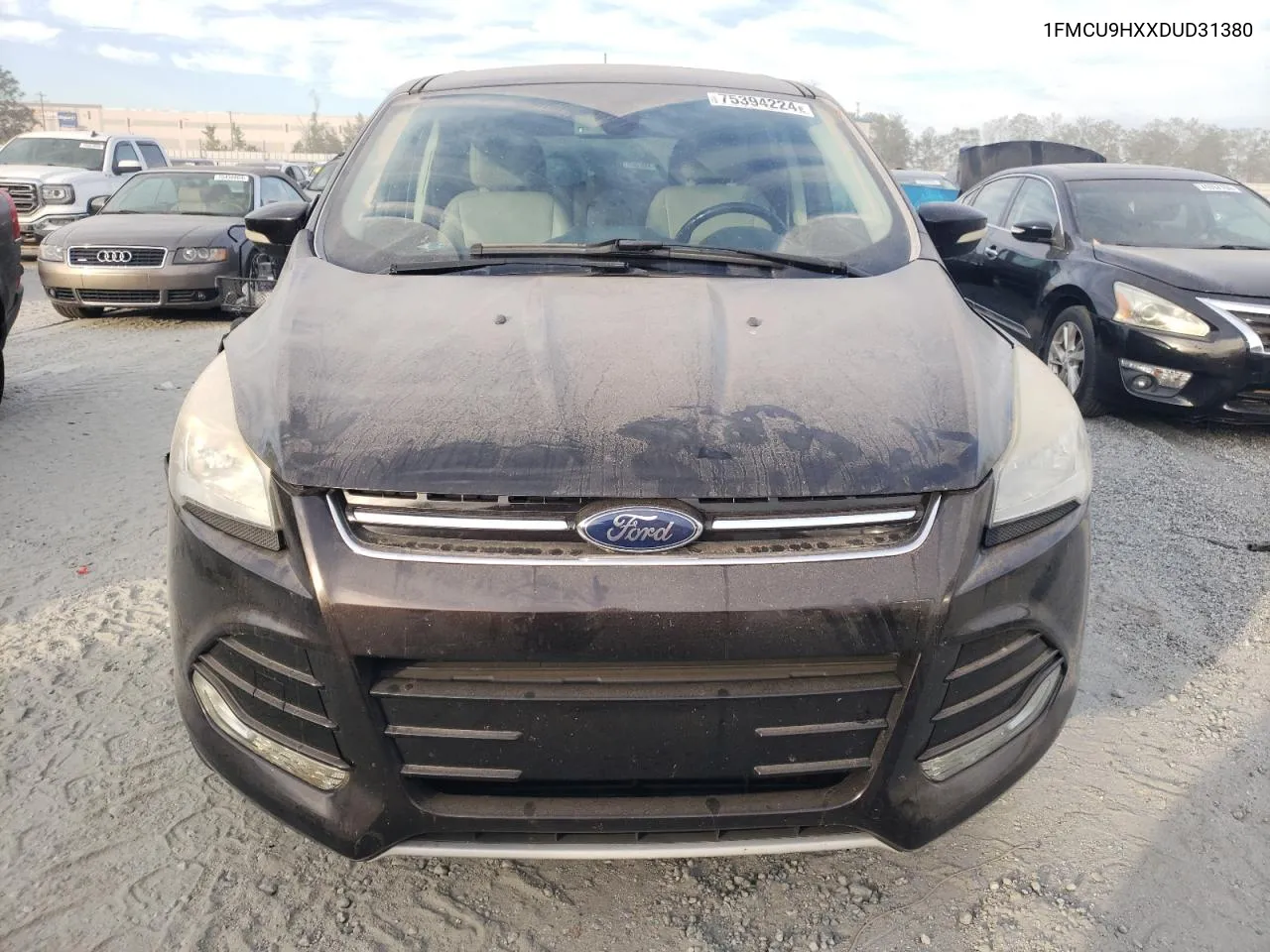 2013 Ford Escape Sel VIN: 1FMCU9HXXDUD31380 Lot: 75394224