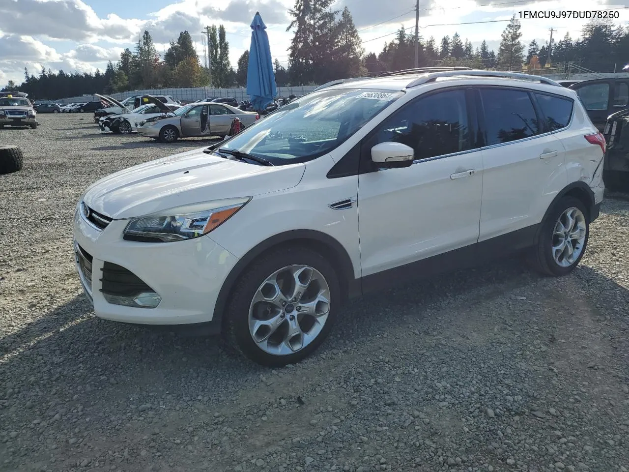 2013 Ford Escape Titanium VIN: 1FMCU9J97DUD78250 Lot: 75638864