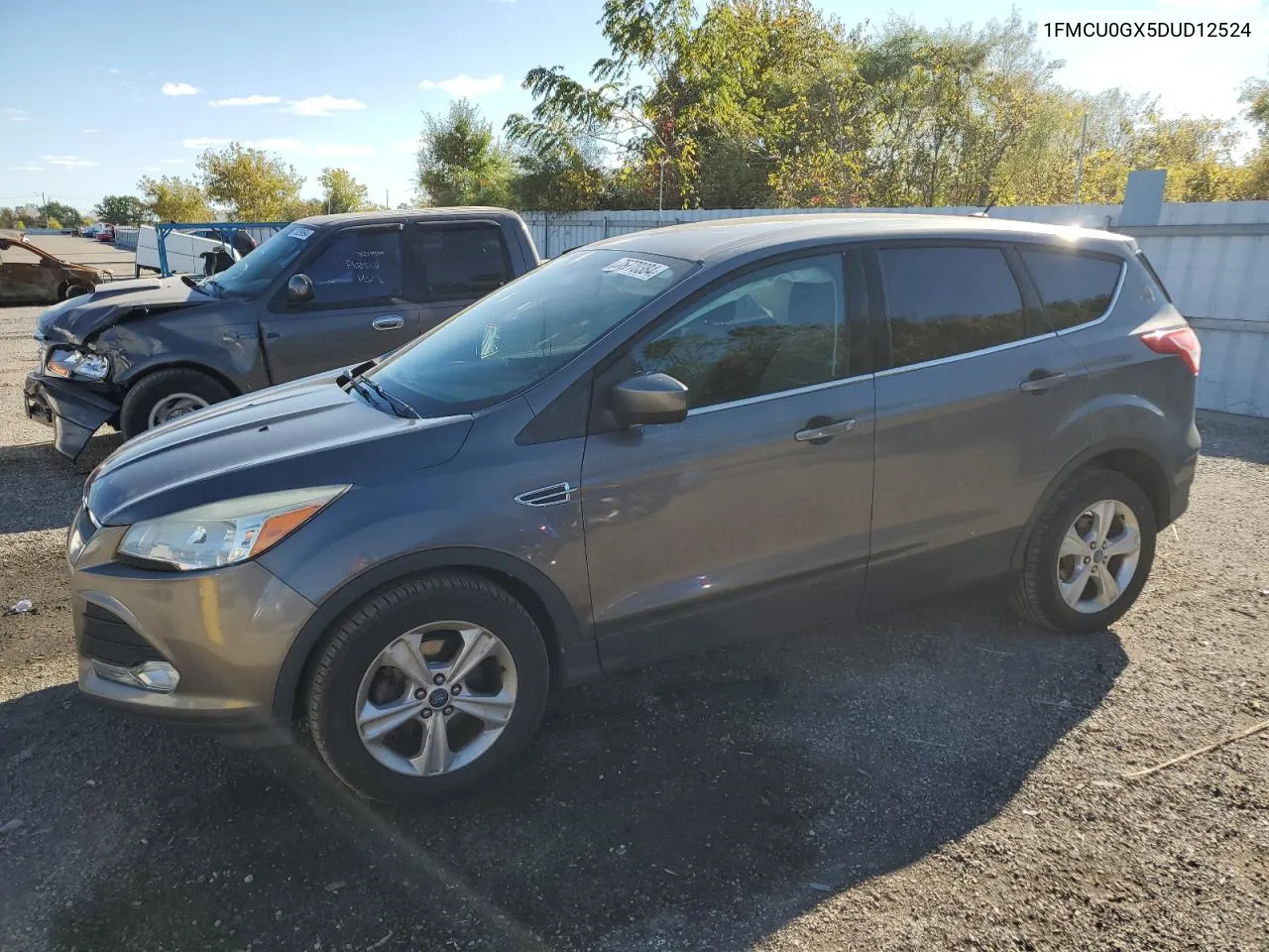 2013 Ford Escape Se VIN: 1FMCU0GX5DUD12524 Lot: 75770384