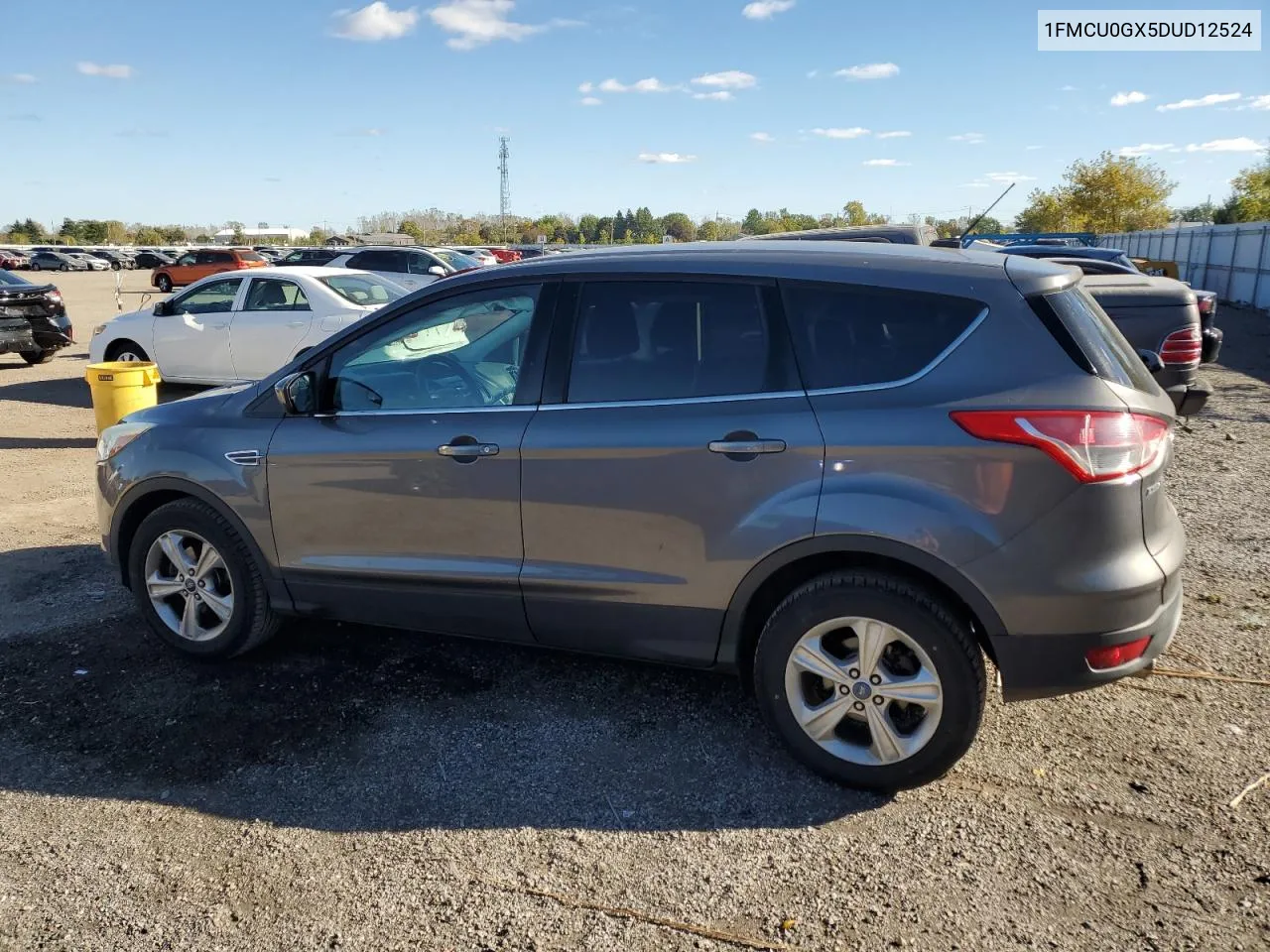 2013 Ford Escape Se VIN: 1FMCU0GX5DUD12524 Lot: 75770384