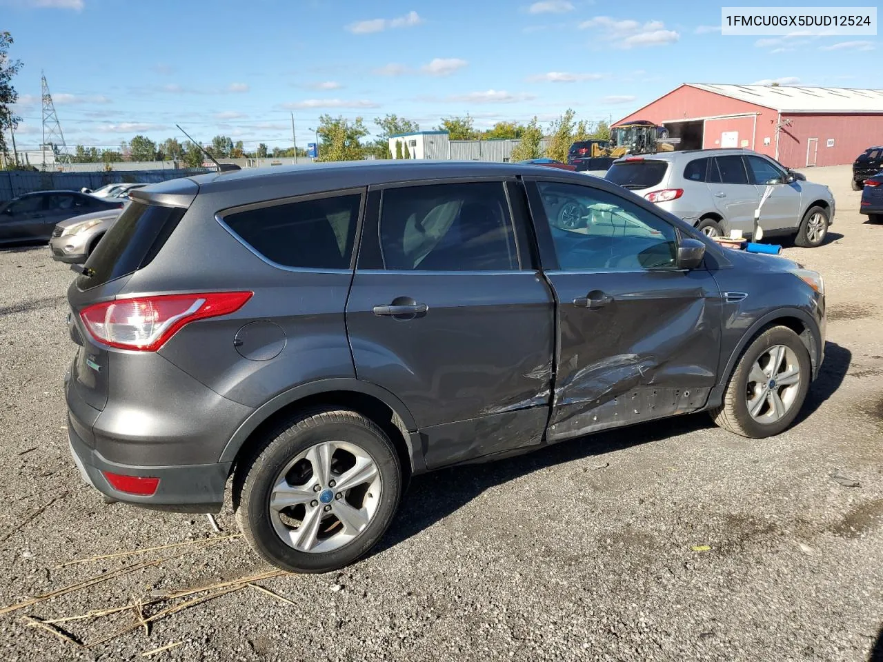 2013 Ford Escape Se VIN: 1FMCU0GX5DUD12524 Lot: 75770384