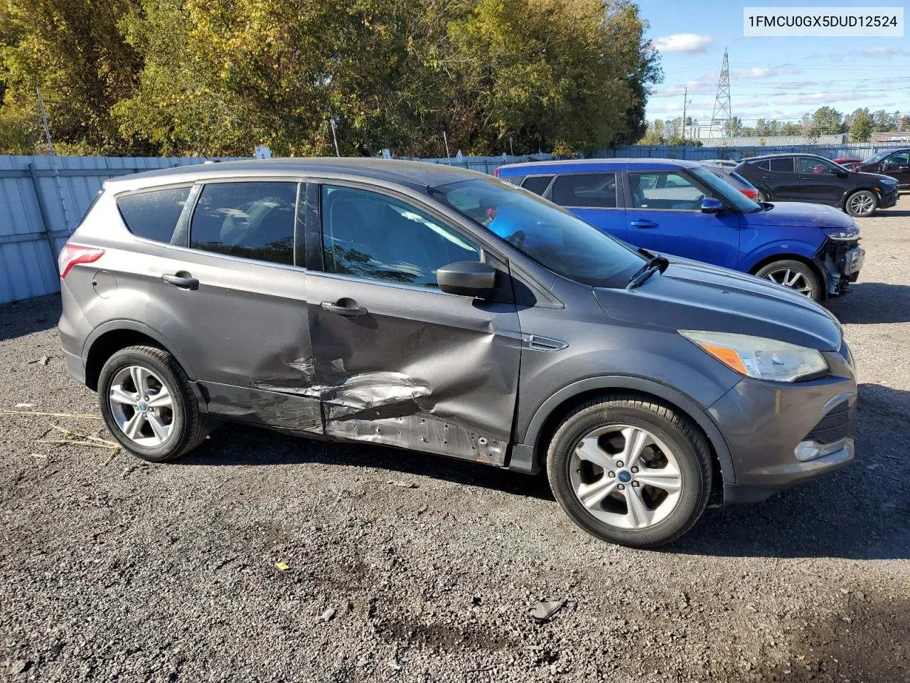 2013 Ford Escape Se VIN: 1FMCU0GX5DUD12524 Lot: 75770384