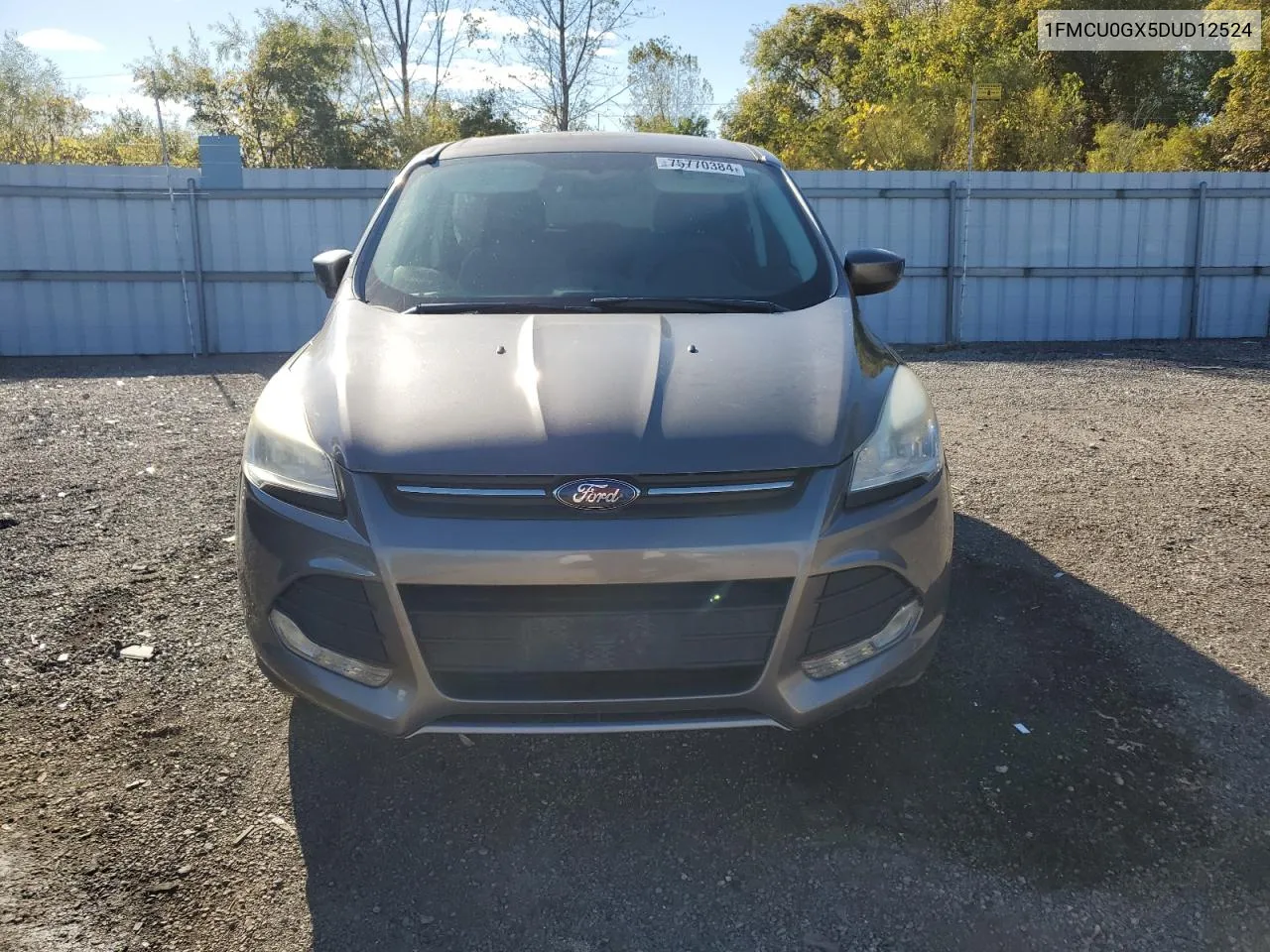 2013 Ford Escape Se VIN: 1FMCU0GX5DUD12524 Lot: 75770384