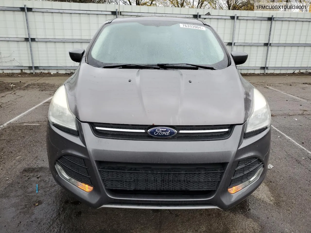 2013 Ford Escape Se VIN: 1FMCU0GX1DUB38001 Lot: 76333904