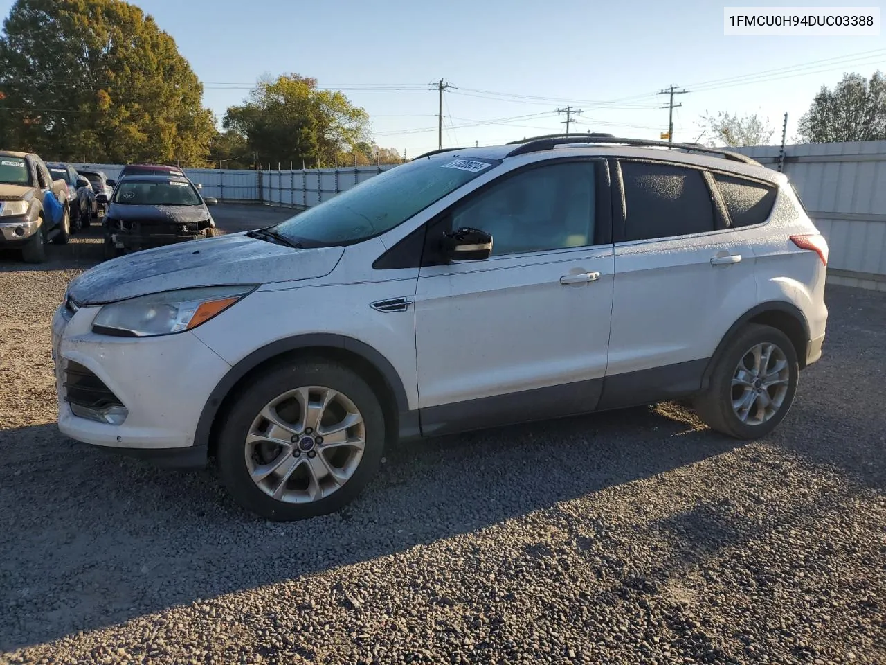 2013 Ford Escape Sel VIN: 1FMCU0H94DUC03388 Lot: 77320924