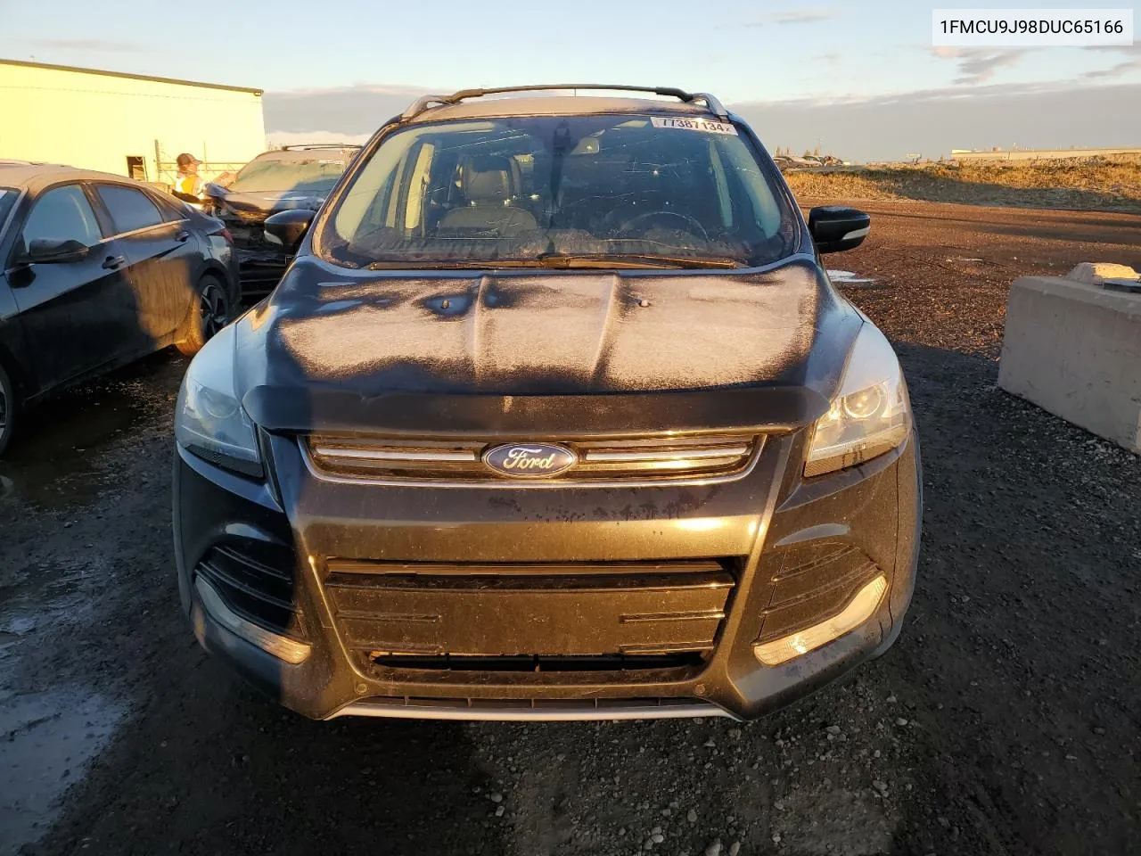 2013 Ford Escape Titanium VIN: 1FMCU9J98DUC65166 Lot: 77387134