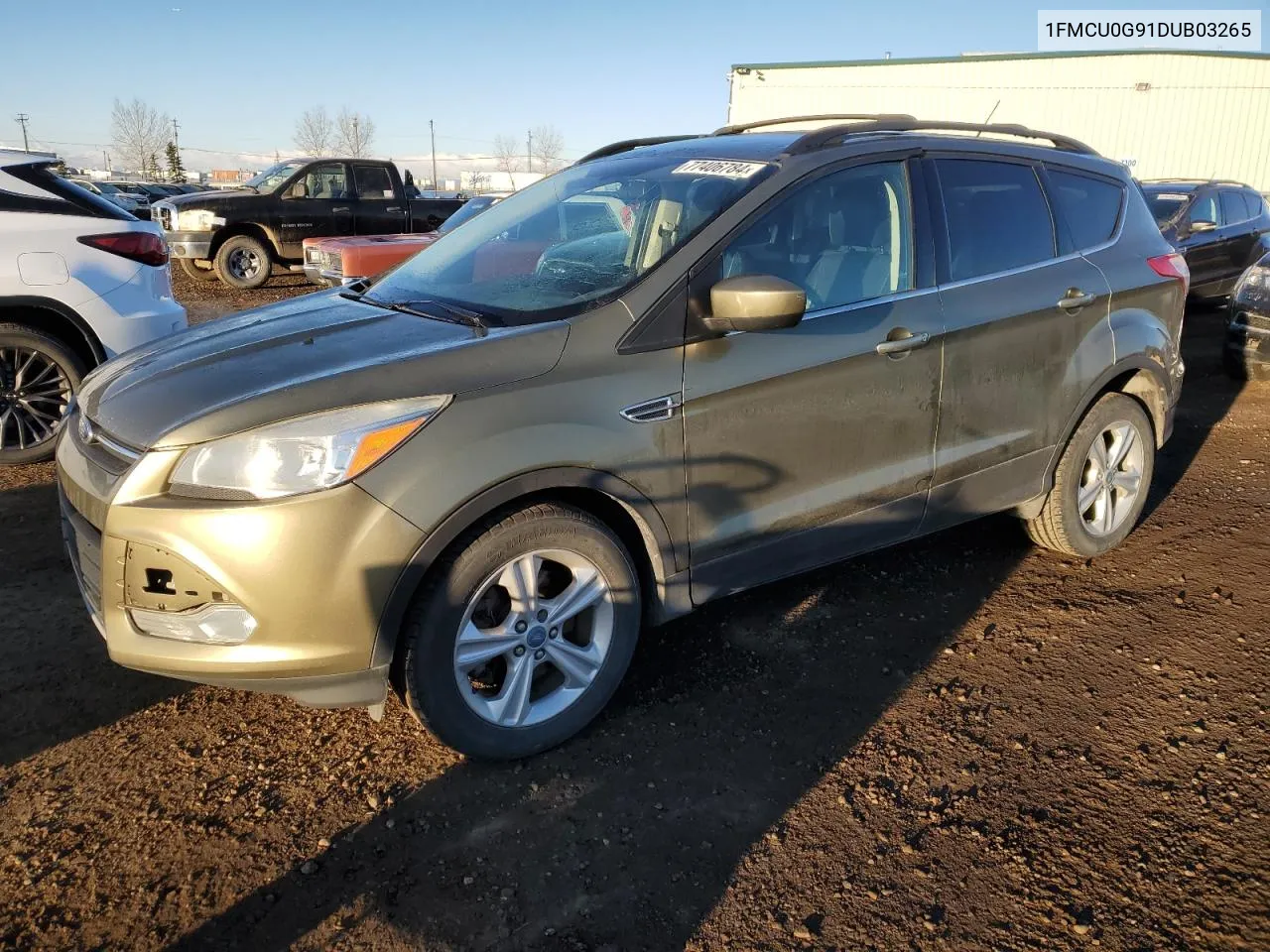 2013 Ford Escape Se VIN: 1FMCU0G91DUB03265 Lot: 77406784