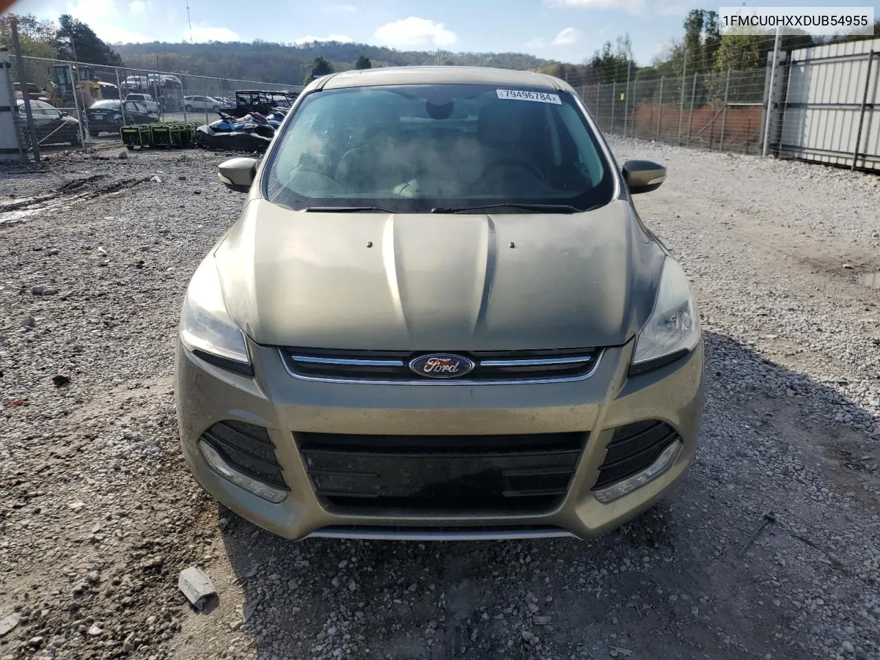 2013 Ford Escape Sel VIN: 1FMCU0HXXDUB54955 Lot: 79496784