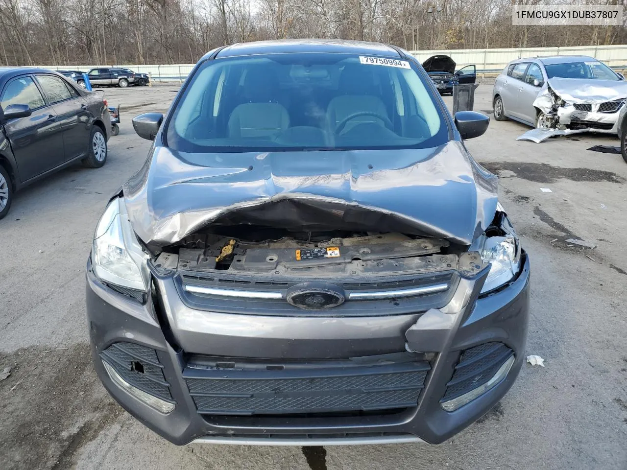 2013 Ford Escape Se VIN: 1FMCU9GX1DUB37807 Lot: 79750994