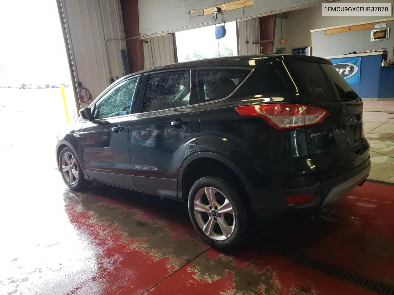 2014 Ford Escape Se VIN: 1FMCU9GX0EUB37878 Lot: 54516123