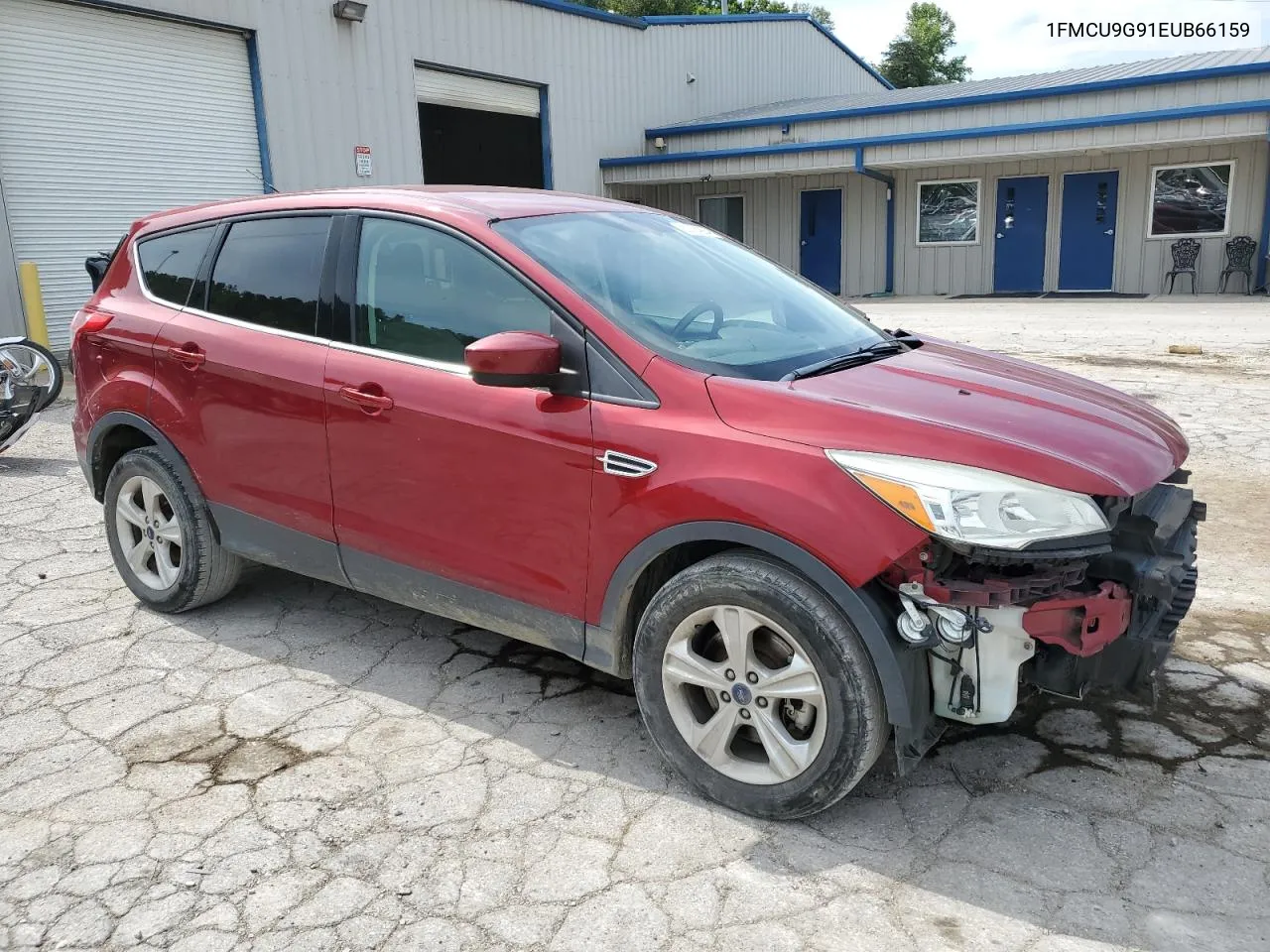 2014 Ford Escape Se VIN: 1FMCU9G91EUB66159 Lot: 63384884