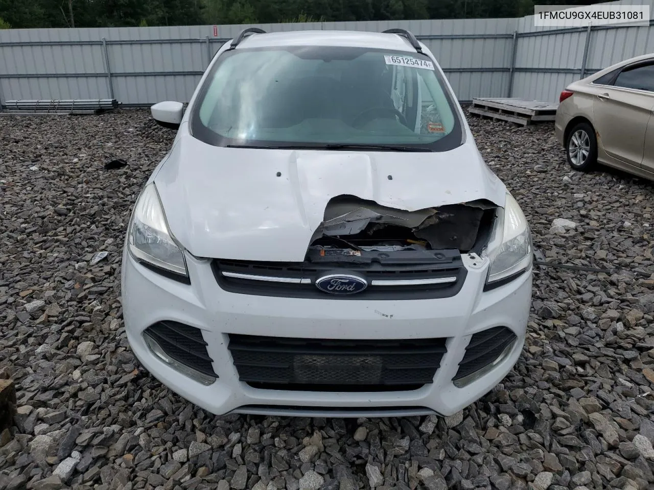 1FMCU9GX4EUB31081 2014 Ford Escape Se