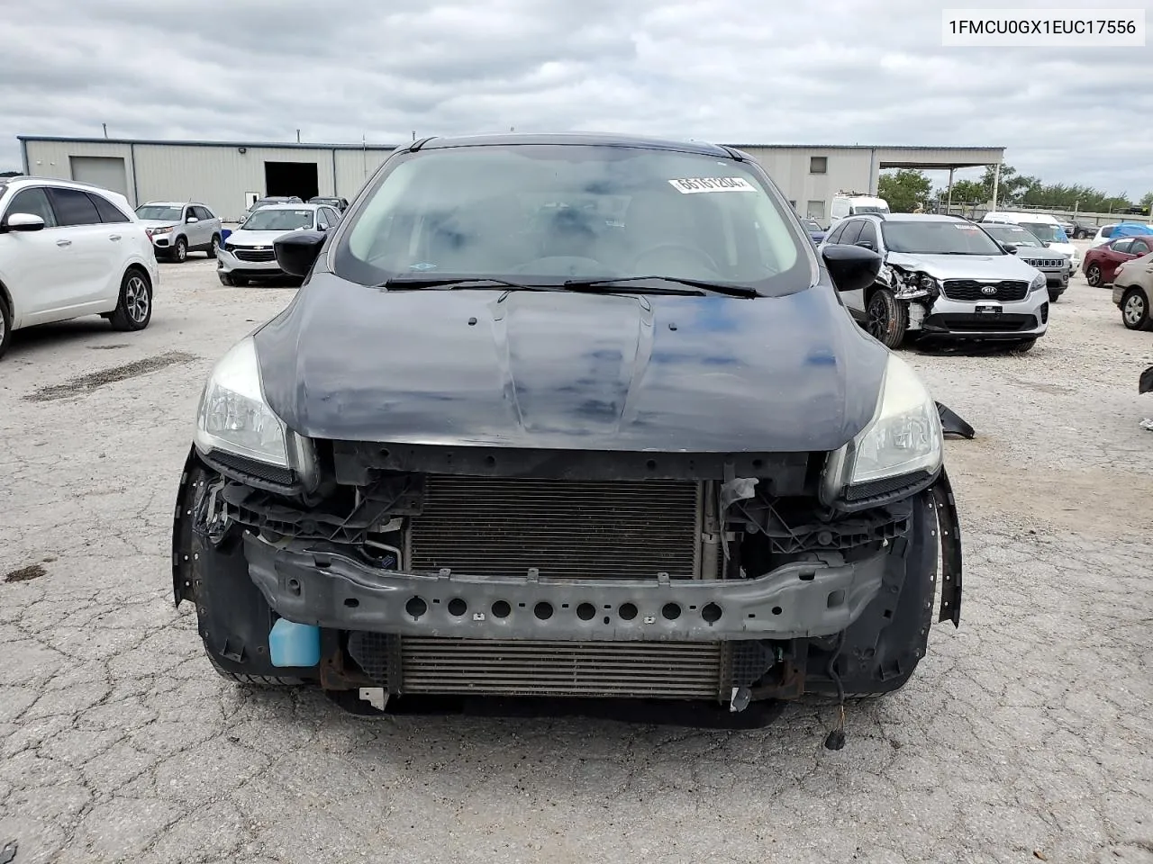 2014 Ford Escape Se VIN: 1FMCU0GX1EUC17556 Lot: 66161204